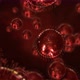 Corona Virus Red - VideoHive Item for Sale