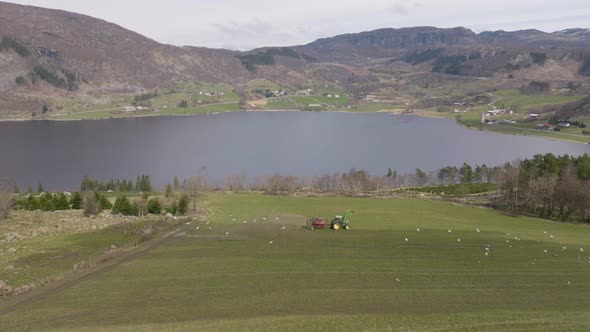 Tractor spreads fertilizer over farm as seagulls fly past.