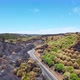 Aerial drone view of burned forest next to the road. Dark land and black trees caused by fire. - VideoHive Item for Sale