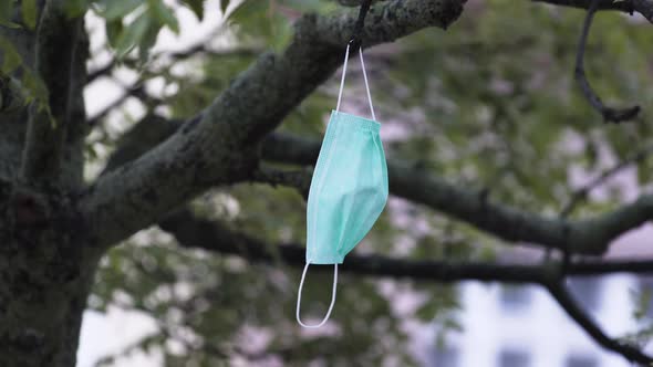 A simple green protective Covid-19 face mask hanging loosely on a tree branch, thrown out by someone