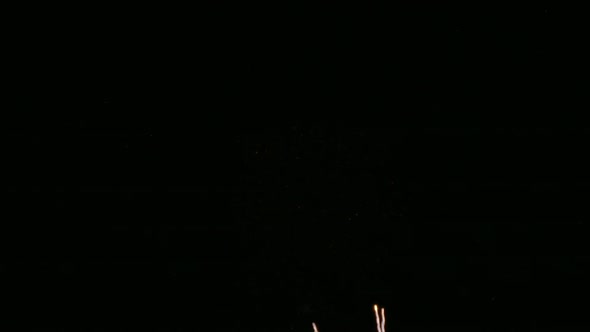 Colorful Firework display at night on sky background