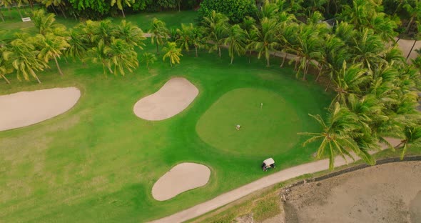 Aerial View of Golf Course with Putting Green Grass and Trees