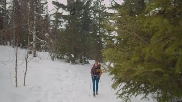 Female Tourist Hiking in Nature on Winter Day