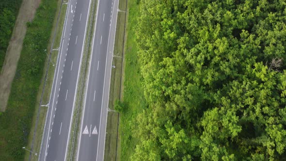 Road Crossing the Forest on a Sunny Summer Day