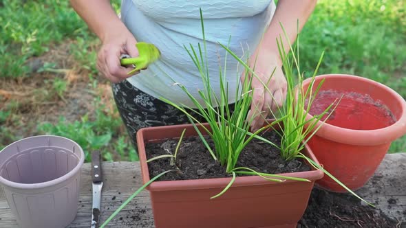 Gardening at Home