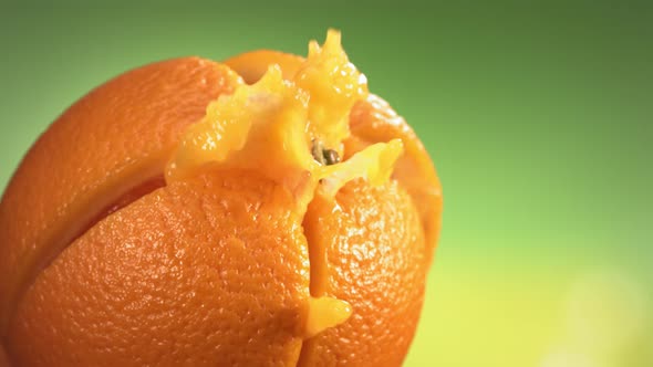 Fresh Orange Fruit Squirting with Juice in Slow Motion in Green Nature Background