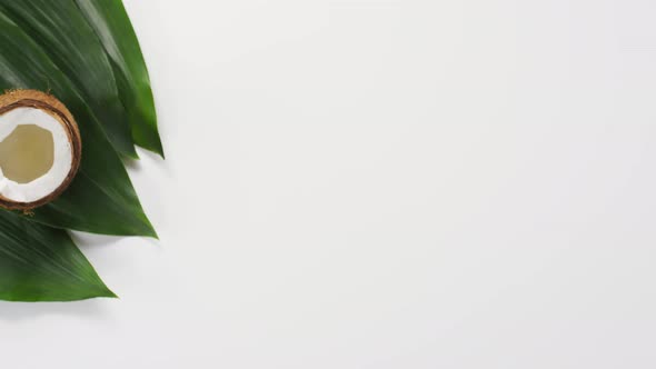 Coconut On Green Leaves