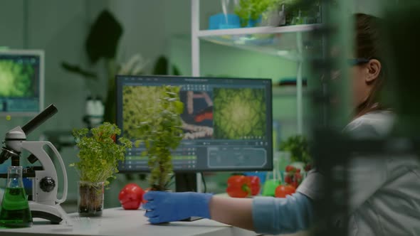 Researcher Woman Measuring Eco Sapling While Observing Biological Transformation