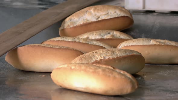 Loaves of Freshly Baked Bread on the Baking Tray in Bakery