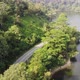 road on the lake side jungle - VideoHive Item for Sale