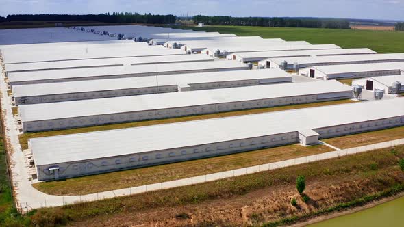 Aerial view of poultry farm. Modern farm poultry buildings. Agriculture