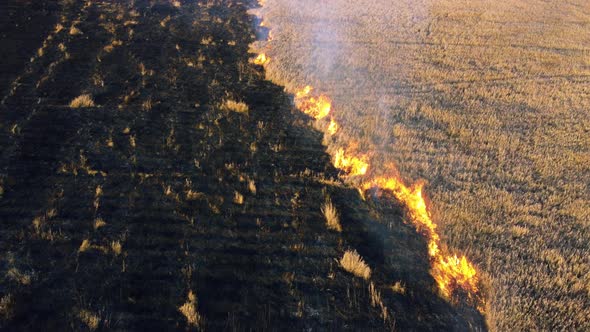 Aerial Drone View Burning Dry Grass