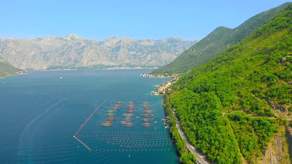 Aerial View of a Oyster Farm and Tourist Boat on the Background Mountains in Kotor Bay Montenegro