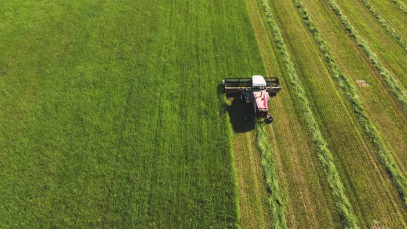 Aerial View of a Combine Harvester Mowing Grass in a Green Field