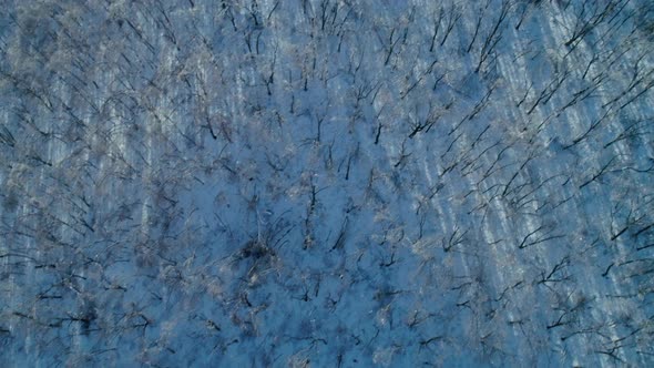 Aerial Winter Mountain Landscape of a Frozen Forest with Snow and Ice Covered Trees on a Sunny