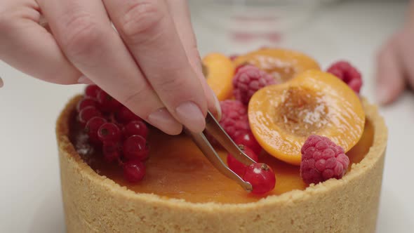 Woman's Hands Decorating Top of Cheesecake with Apricot Fruits Currant and Raspberries