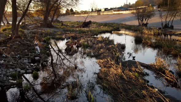 Aerial shot of trash In Los Angeles River