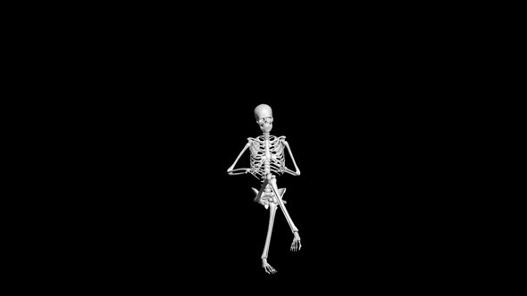 Skeleton Animation