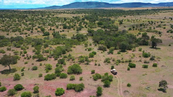 Safari at South Africa