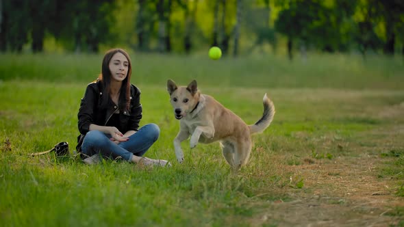 A Girl Throws a Tennis Ball To Her Dog To Bring It Back.