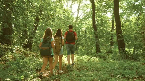 Dad and Daughters, Children Travel in Park in Summer. Family on Vacation Travels in Forest. Friends