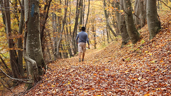 Trekking Through Autumn Forest