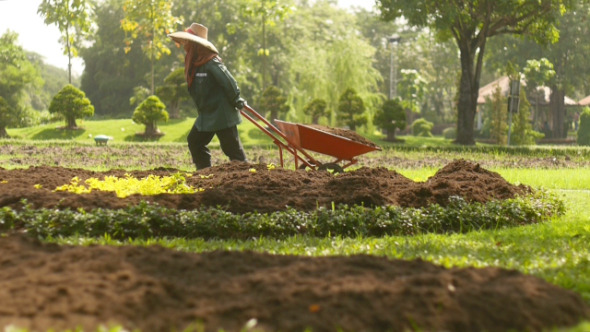 Making Garden