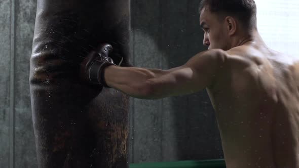 Portrait Closeup of Sweaty Strong Male Boxer Wearing Gloves Practising in Gym and Punching Boxing