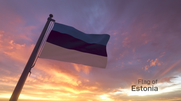 Estonia Flag on a Flagpole V3