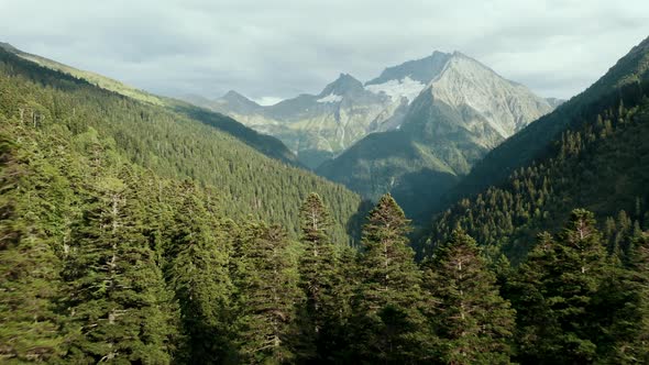 Aerial view; highland landscape with deep forest and huge mountain