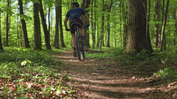 A Cyclist is Riding at High Speed Along a Forest Path