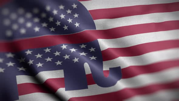 Republican Flag With Stripes Angle