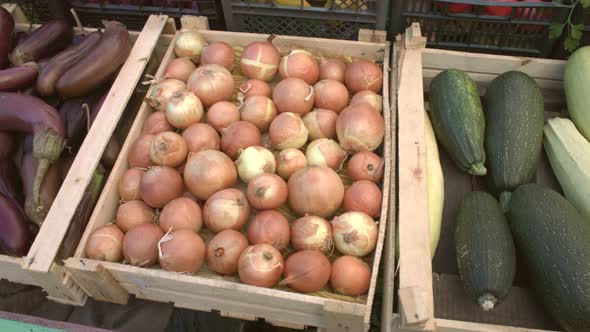 Vegetables on the Market Counter.