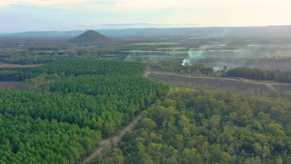 Aerial view of a deforestation in Queensland, Australia.