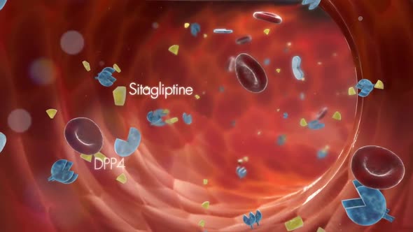 Pancreatic -Cell Electrical Activity and Insulin Secretion