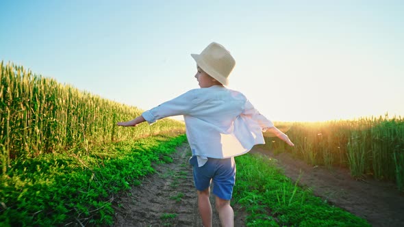 Little Happy Boy Running in Country Field Meadow Spreading His Arms Out Sides in Summer Sunlight