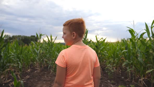 Close Up of Small Ginger Boy Standing at Corn Field, Turning To Camera and Smiling. Happy Little Kid