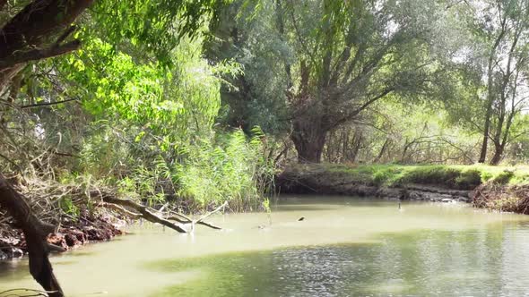 Flying Low Over Green Tranquil Waters Of Danube Delta River Surrounded By Lush Foliage Forest Nature