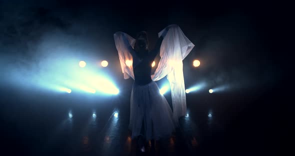 A Ballerina's Silhouette in the White Spotlight