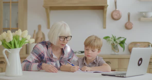 60s Grandmother Making Online Homework with Preschool Grandson at Home, Senior Woman in Glasses and