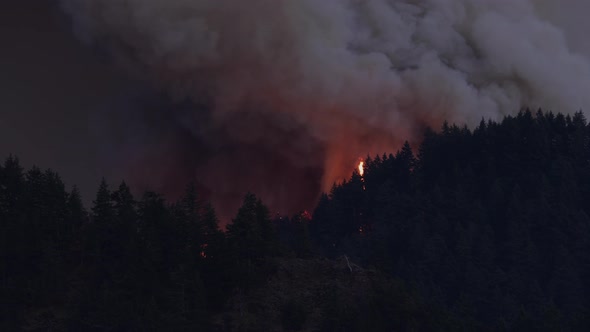 Forest Fire Near Portland Oregon