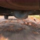Rear Wheels of SUV Truck Spinning and Move on Off Road Terrain with Dusk Dirty Earth and Blurry - VideoHive Item for Sale