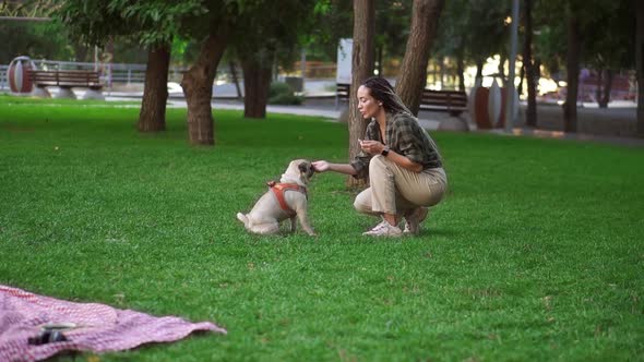 Owner Feeding Pet Outdoors Encouraging Smart Dog for Good Command Execution