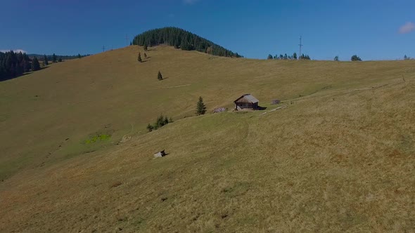 Flight Over the Pasture in the Carpathian Mountains