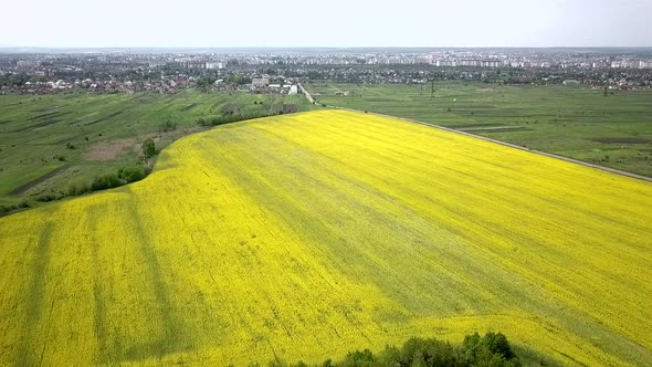 Aerial view of yellow and green farmers fields in spring.
