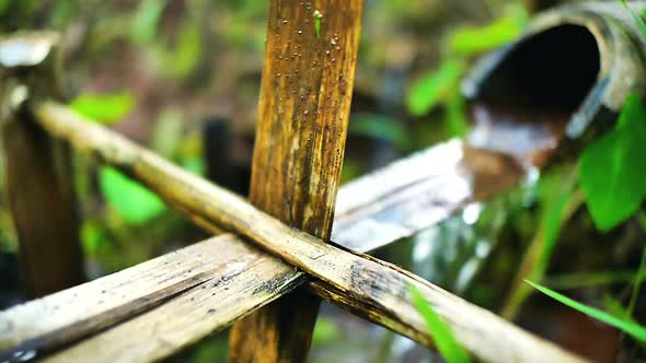 Bamboo Water Feature 06