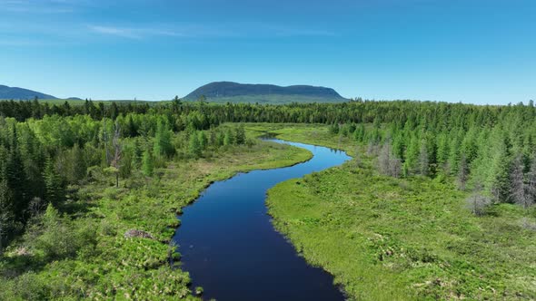 Breathtaking aerial view over meandering river in heart of nature