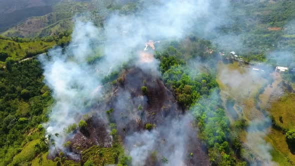 Aerial view of Bush fire Deforestation burning and smoking, in rainforests of Queensland, sunny day,