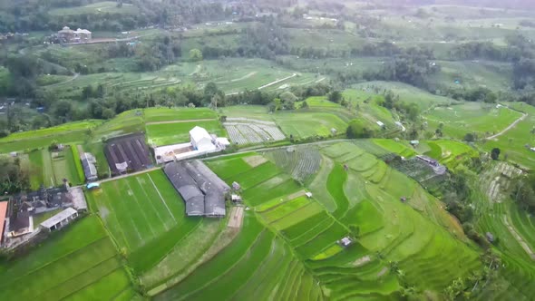 Jatiluwih Tabanan Bali Aerial View