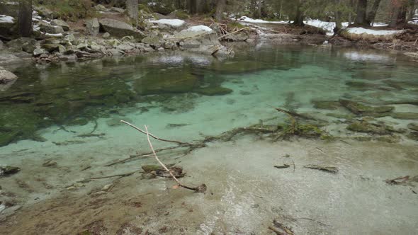 Woods with snow and stream with crystalline water pan left-right short 4k Sony a6300 25p S-Log2